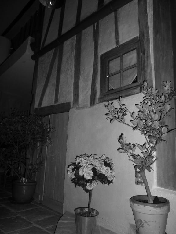 Les 5 Sens Bed and Breakfast Zewnętrze zdjęcie
